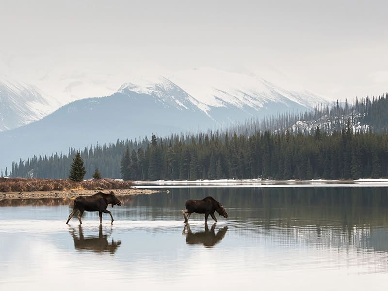 Vancouver to Juneau (Alaska)