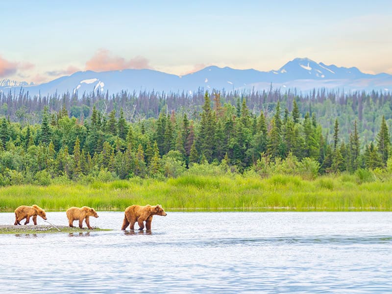Vancouver to Juneau (Alaska)