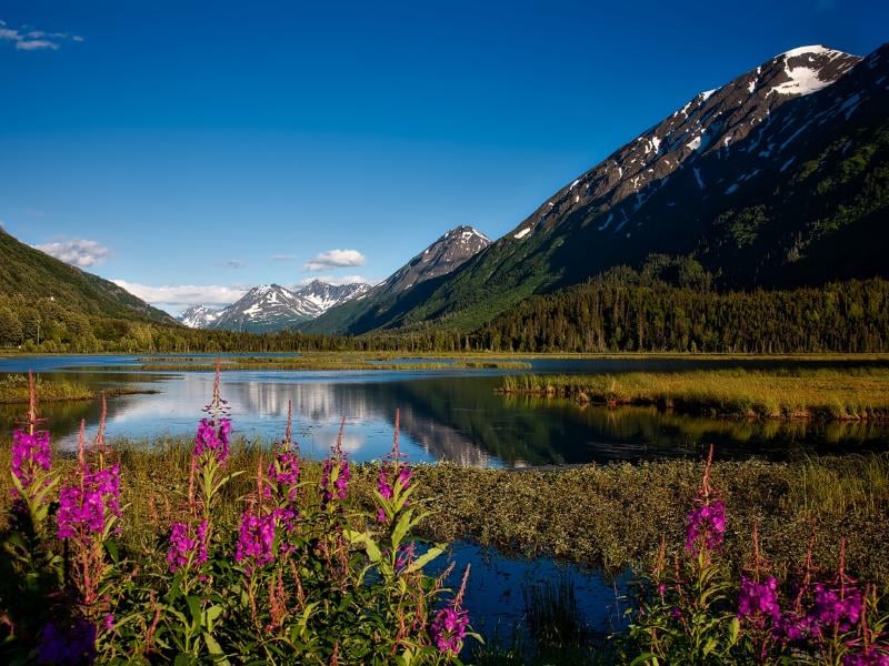 Mount Marathon Majest Scenic Hiking